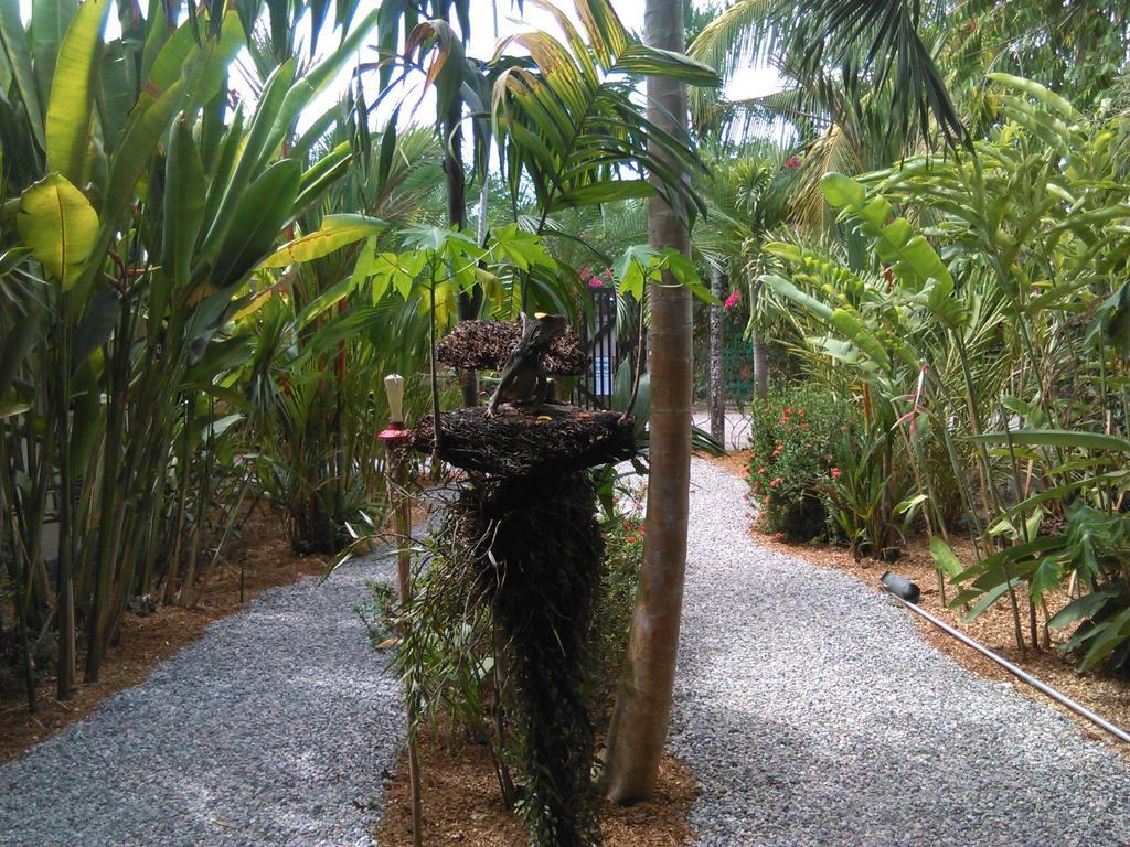 Cabinas Tropicales Puerto Jiménez Zimmer foto