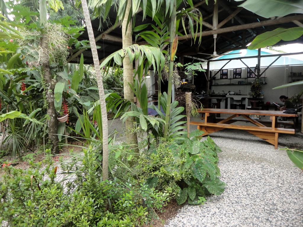 Cabinas Tropicales Puerto Jiménez Zimmer foto
